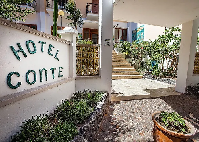 Conte Hotel 3*