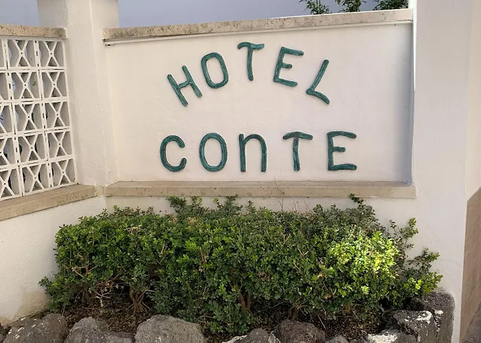 Conte Hotel 3*